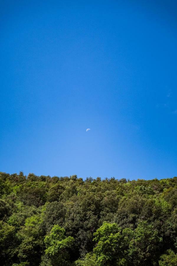 Agriturismo Biologico Ebbio Villa มอนเตริจโจนี ภายนอก รูปภาพ